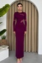 Plum Stretchy Fabric See-Through Detail Long Sleeve Back Slit Maxi Dress 275
