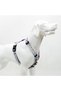 Bubbles H-Type Chest Collar Adjustable, Comfortable and Durable Patterned Dog Collar