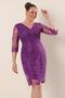 One Side Sleeves Lace Plus Size Evening Dress