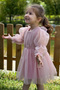 Girls Baby Girls Kids Birthday Party Wedding Dress Tulle Tutu Lined Children's Clothing Baby Wear Dress - 5