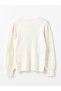 Lcw Comfort Crew Neck Self-Patterned Women's Knitwear Sweater (W4) - 6
