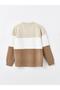 Lcw Vision Crew Neck Long Sleeve Color Block Men's Sweatshirt (W4) - 7