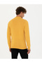 Mustard Slim Fit Half Turtleneck Basic Knitwear Sweater 50276161-Vr072 - 5