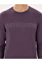 Purple Slim Fit Crew Neck Wool Blended Knitwear Sweater 50296419-Vr038 - 6