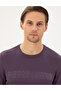 Purple Slim Fit Crew Neck Wool Blended Knitwear Sweater 50296419-Vr038 - 2