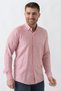 Paris G2302 Cotton Regular Fit Amalfi Shirt Red - 3