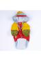Vivid Kauai Dog Coat Dog Raincoat Dog Outfit Dog Dress - 5