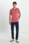 Regular Fit Regular Cut Crew Neck 100% Cotton Dried Rose T-Shirt - 3