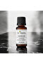 Jasmine Essential Oil - Jasmine Oil - Jasminum Gradiflora - Essential Oil - 10 ml - 3