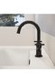 Origin Classic A4288436 Lavatory Faucet, Dual Control, Matte Black - 3