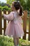 Girls Baby Girls Kids Birthday Party Wedding Dress Tulle Tutu Lined Children's Clothing Baby Wear Dress - 6