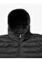 Puffer Jacket Seasonal Hooded Zip-Up with Pocket Detail - 8