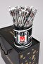 Licensed Single Lead Pencil