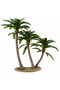 Cocotier Deluxe -