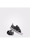 Chuck Taylor All Star Dinos