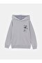 Lcw Kids Hooded Printed Boys' Sweatshirt (W4)