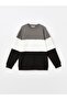 Lcw Vision Crew Neck Long Sleeve Color Block Men's Sweatshirt (W4) - 5