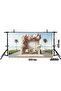 200x150cm Photography Backdrop with Pink and White Balloon Decorations for Beach-Themed Events - 2