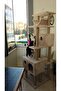 Cat Scratching House and Play Platform 100% Warranty - 6