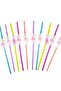 Ballerina Themed Artistic Pipette 10 Pieces - 2