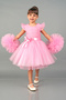 Pink Pompom Sleeves Tulle Girls Evening Dress Party Dress with Glitter - 2