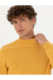 Mustard Slim Fit Half Turtleneck Basic Knitwear Sweater 50276161-Vr072 - 2
