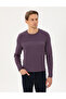 Purple Slim Fit Crew Neck Wool Blended Knitwear Sweater 50296419-Vr038