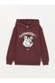 Lcw Kids Plum Hooded Printed Long Sleeve Boy's T-Shirt (W3)