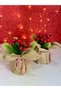 Set of 2 New Year's Artificial Flowers Kokina Jute Fabric Mini Potted Christmas Decoration