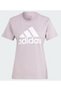 شعار Camısata Loungewear Essentials Ir5411 - 5