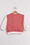 Boy's 2-Pack Basic Sweatshirt - 4