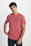 Regular Fit Regular Cut Crew Neck 100% Cotton Dried Rose T-Shirt - 2