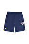 Fenerbahçe Sports Shorts 77199901