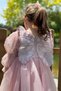Girls Baby Girls Kids Birthday Party Wedding Dress Tulle Tutu Lined Children's Clothing Baby Wear Dress - 3