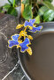 Porcelain Metal Funnel Footed Blue Butterfly Detailed Presentation Bowl - 3