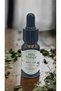 Niaouli Oil 10ml - 2
