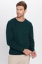 Men's Standard Fit Regular Cut Crew Neck Honeycomb Patterned Green Knitwear Sweater - 2