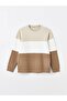 Lcw Vision Crew Neck Long Sleeve Color Block Men's Sweatshirt (W4) - 6