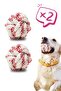Dog Toy 2 Pieces Dog Ball Training Ball Stress Rope Ball 9 cm Large
