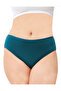 Women's Cotton Panties Basic Slip Colorful 10-Pack High Waist Underwear (Multicolor-X31) - 4