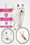 Bottle Plush Training Toy - Quad Batch Traction Rope - Dog Flossing Toy - Set of Four - 4