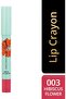 X Priyanka Chopra Jonas Lip Crayon Stick - 003 - Hibiscus Flower, 3g - 7
