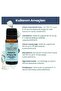 Yogaroma 10 ml Refreshing Aromatherapy Oil - Pure and Natural Eucalyptus Essential - 6