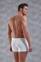 Men's Modal Baggy Thin Waistband Regular Leg Boxer 1770 - 2