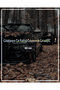 Our Sins Are in Hell of Very Good Quality. Hologram Car Lettering - 2