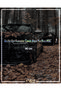 What We Saw Indian Fabrics Was All Dust Cloth. Hologram Car Lettering Sticker