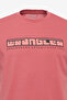 Regular Fit Regular Cut Crew Neck 100% Cotton Dried Rose T-Shirt - 8