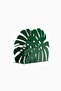 Green Decorative Leaf-Shaped Napkin Holder - Natural-Looking Desktop Napkin Holder 12x4x10 cm