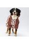 Colorado Large Breed Dog Jumpsuit Raincoat Dog Raincoat Dog Outfit Dog Dress - 3