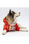 Ottawa Large Breed Dog Coat Dog Raincoat Dog Outfit Dog Dress